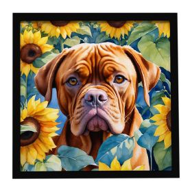 Dogue de Bordeaux in Sunflowers Framed Metal Print Bathroom, Kitchen, Office, Home Decor Wall Art Ready to Hang, Square, 8X8