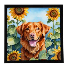 Nova Scotia Duck Toller in Sunflowers Framed Metal Print Bathroom, Kitchen, Office, Home Decor Wall Art Ready to Hang, Square, 8X8